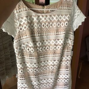 Eliza J Lace Dress